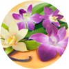 fabuloso_vaniglia_e_orchidea_mini