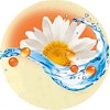 bionsen_camomilla_mini