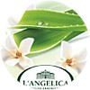 langelica_aloe_vaniglia_mini