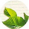 winnies_sapone_di_marsiglia_mini