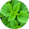 antica_erboristeria_mini